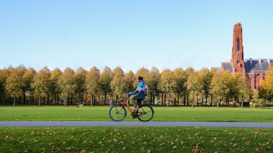 fietsen park Haarlem bos